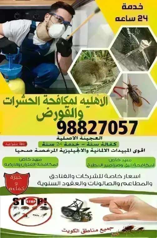 مكافحة حشرات الماجد