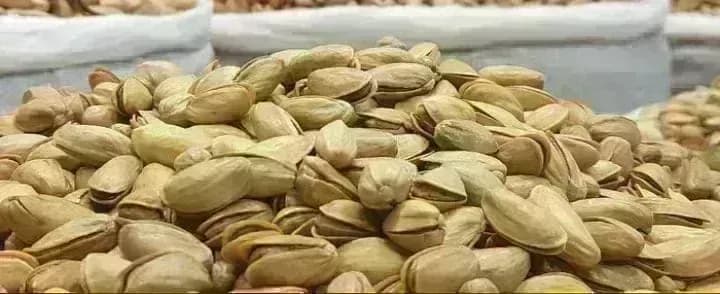 Iranian pistachio available in bulk
