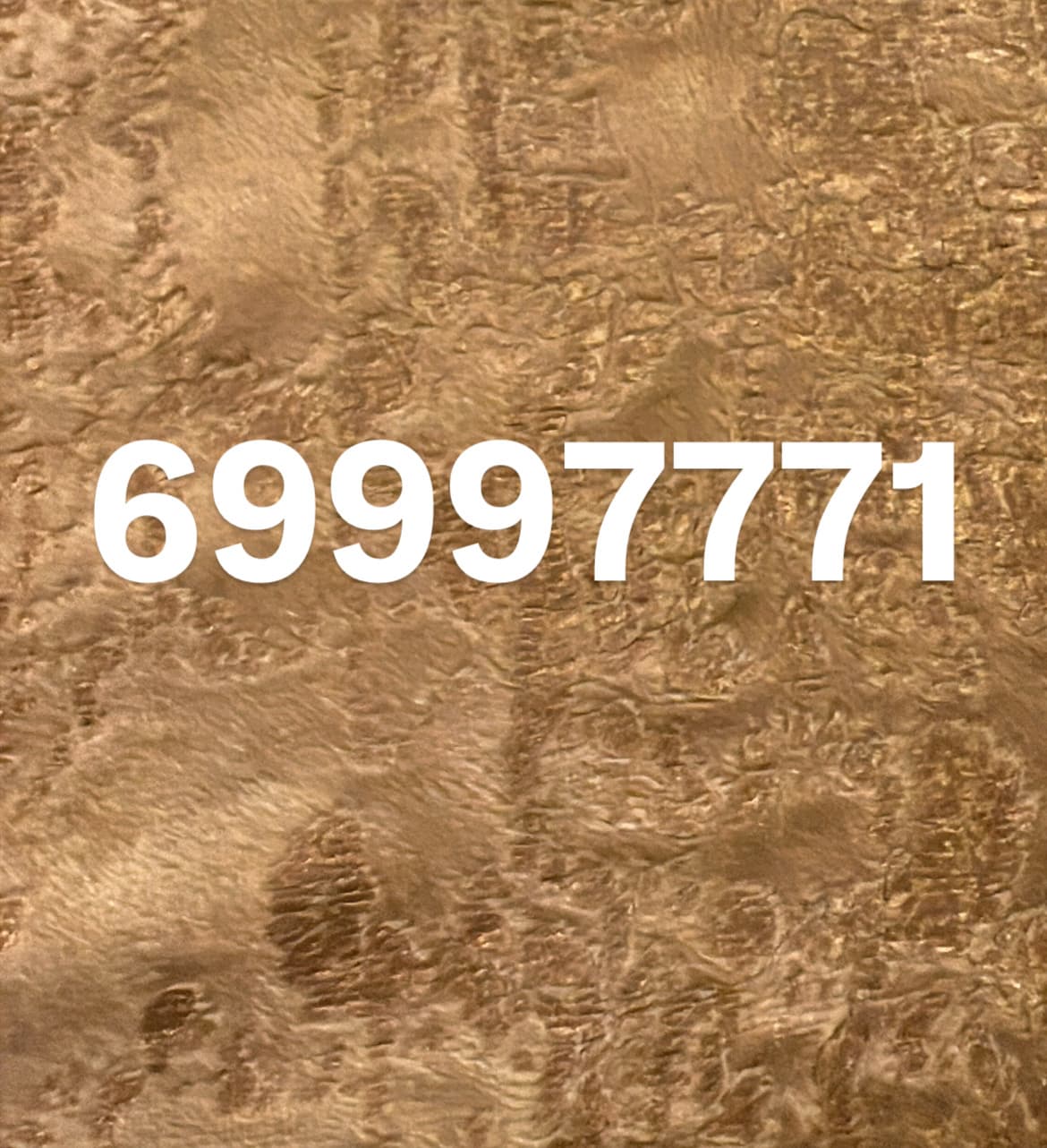 خط مميز ٦٩٩٩٧٧٧١