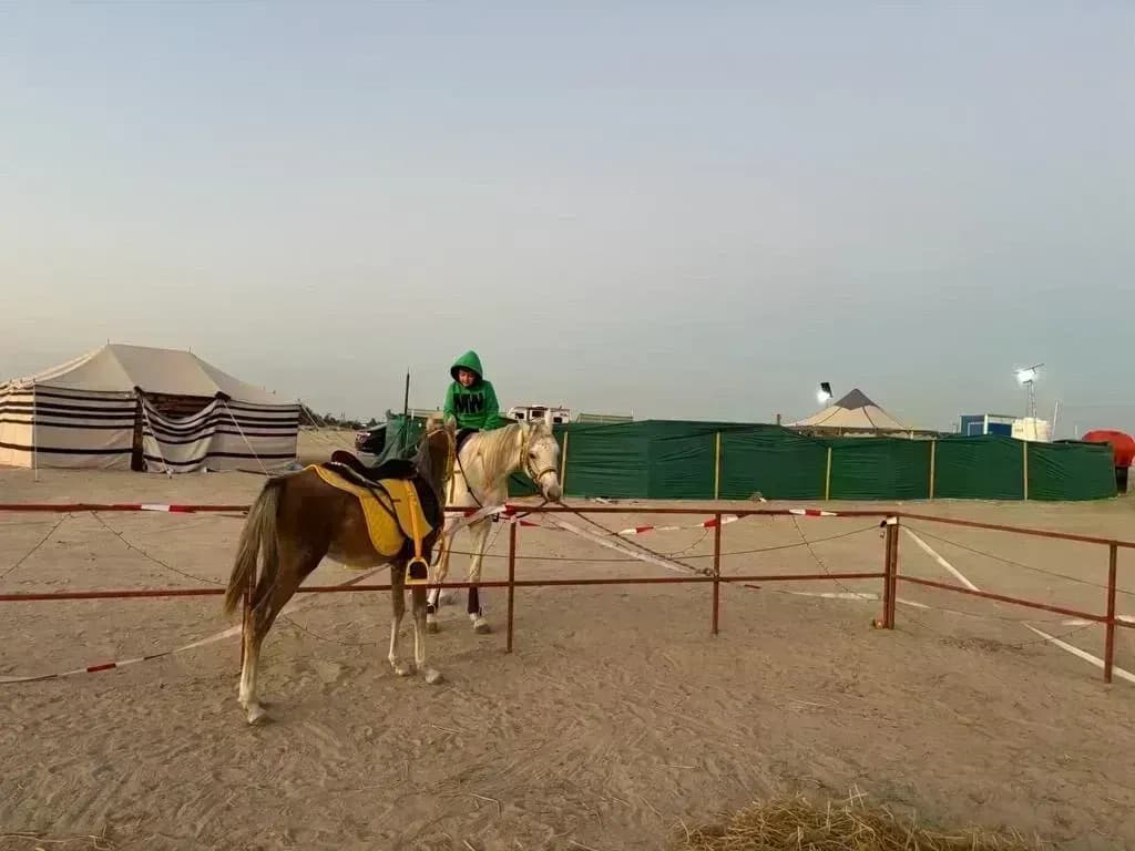 للبيع مهر مع كامل اغراضة ومع بادوك