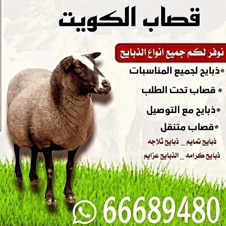 قصاب الكويت/66689480