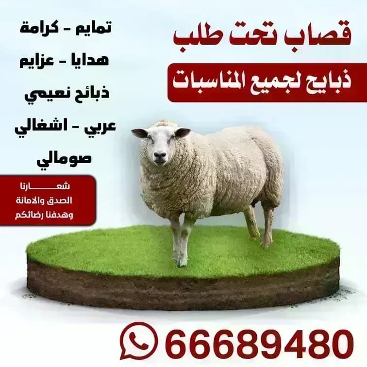 قصاب الكويت بالكويت/66689480
